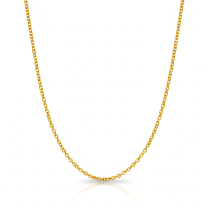 Timeless Loop Gold-Plated Cable Chain